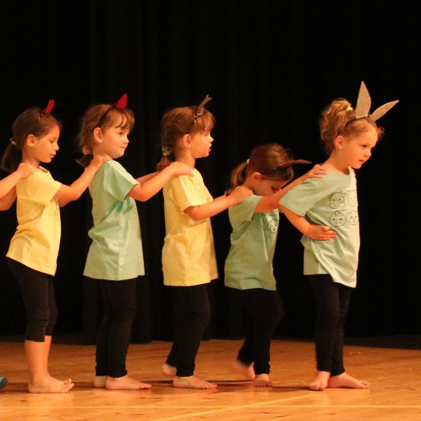 Bild der Tanzminis